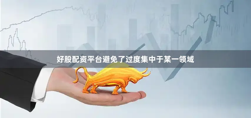 好股配资平台避免了过度集中于某一领域